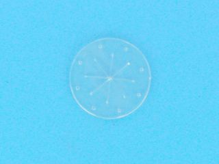 Image Membrane Polaris